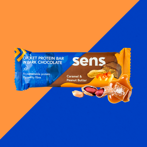 Protein Bar in Dark Chocolate - Caramel & Peanut Butter – Rette Lebensmittel (MHD 03.10.)