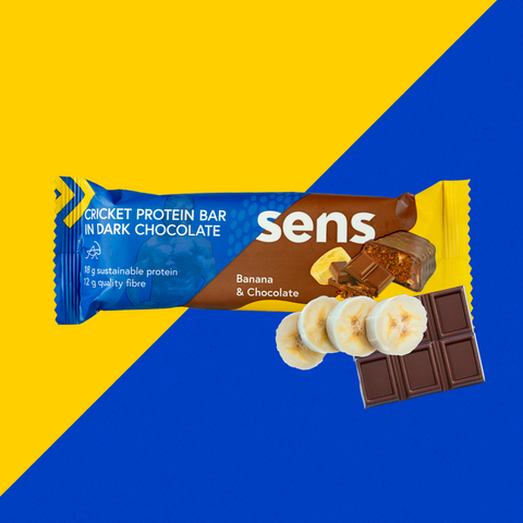 Protein Bar in Dark Chocolate - Banana – Rette & Spare (MHD 03.10.)