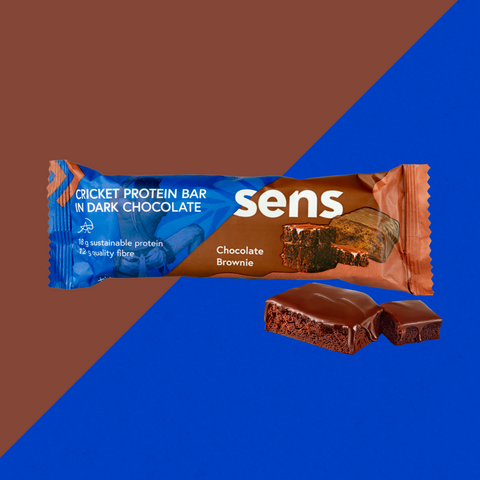 Proteinriegel in dunkler Schokolade Schokoladen Brownie