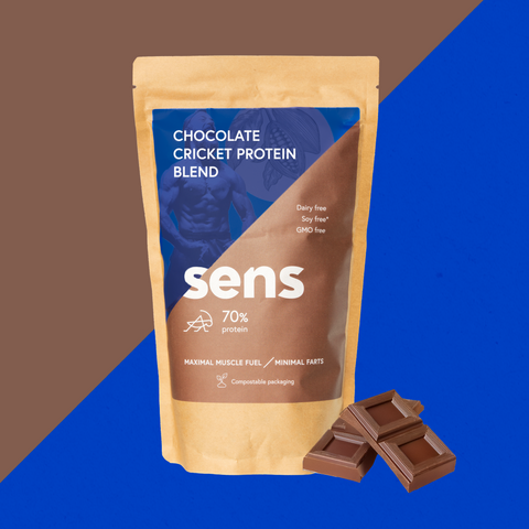 Chocolate Cricket Protein Powder