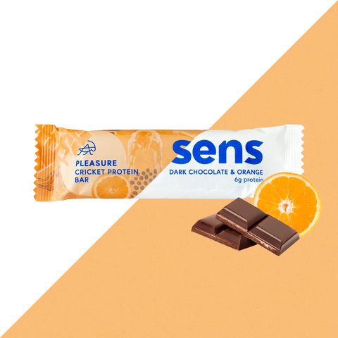Pleasure Protein Bar Dark Chocolate & Orange