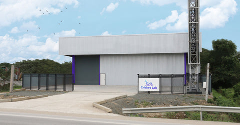 Cricket Farm Tour – What Does a Modern Cricket Farm Look Like?