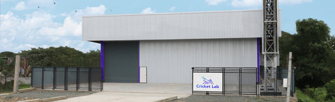 How We Decided to Build the Biggest Cricket Farm in the World