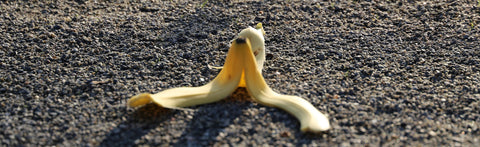 Diet 2.0 – How Insects Help Make Your Food Waste Disappear