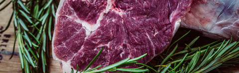 Can Other Protein Sources Match Insects?