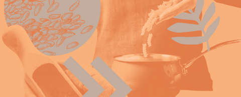 Cooking & Baking