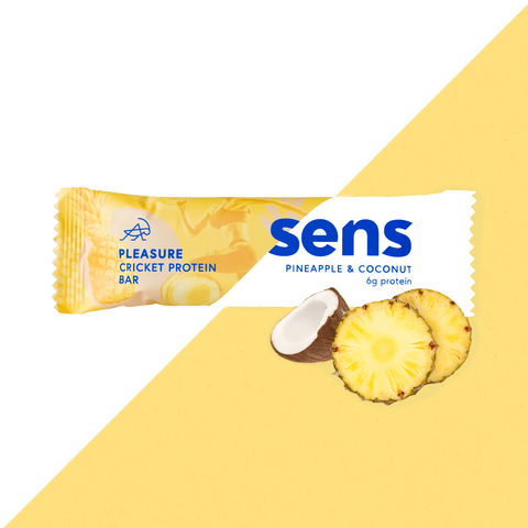 Pleasure Protein Bar Pineapple & Coconut - Rescue Deal