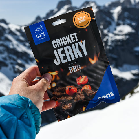 Cvrččí jerky - sušené maso BBQ