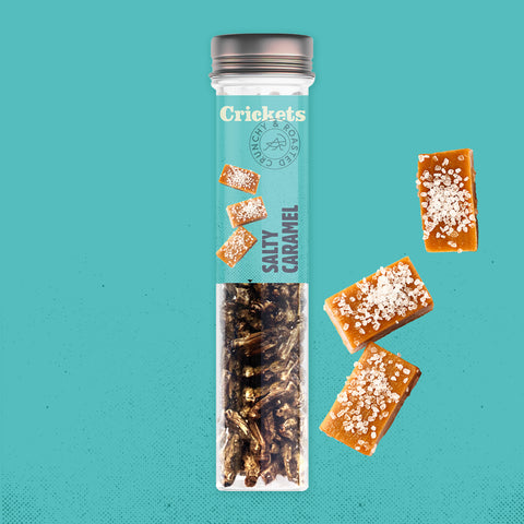 Pražení cvrčci různých chutí ve zkumavce