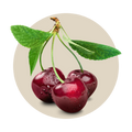 sens pleasure cricket protein bars using cherries