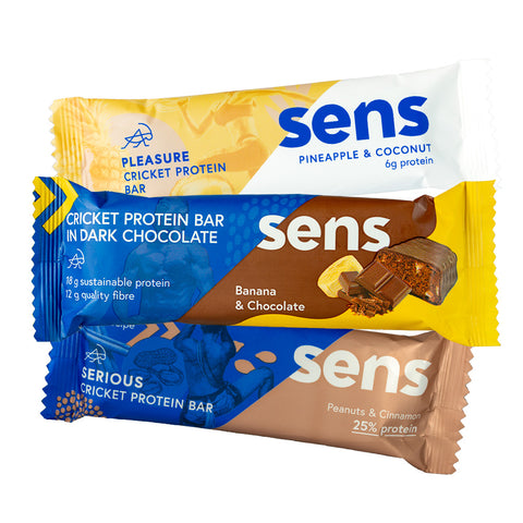 Protein Bars