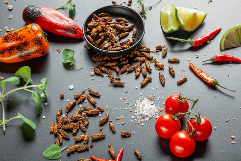 Pražení cvrčci s chilli, limetkou a rajčaty, jedlý hmyz | Sens